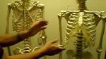 medical_model_new_hpe